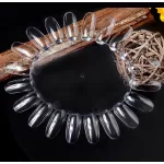 Margareta priesvitná