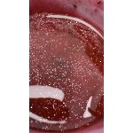 Liquid polygel - FLORANCE CHARM- 15 ml